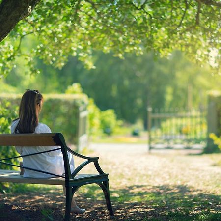 Ferienwohnungen Mitten In 함브루크 외부 사진